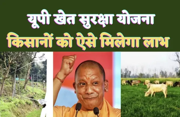 Up Khet Suraksha Yojna 2023 : सीएम खेत सुरक्षा योजना के तहत किसानों को ऐसे मिलेगा लाभ ! आवारा पशुओं से मिलेगी सुरक्षा, जानिए Yogi की स्कीम