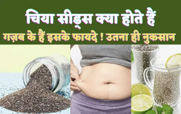 Chia Seeds In Hindi: चिया सीड्स को हिंदी में क्या कहते हैं? जानिए इसे किसे खाना चाहिए ! क्या होता इससे नुकसान