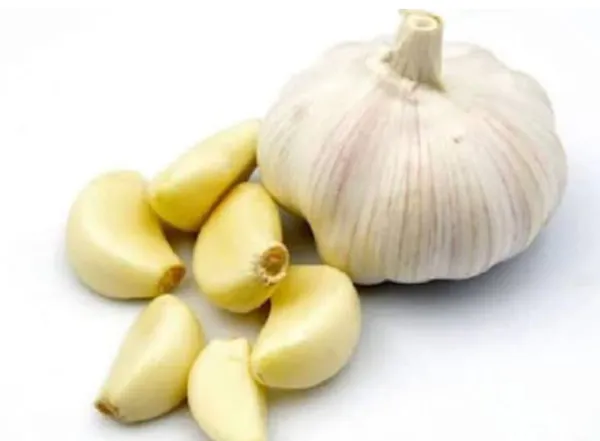 Raw Garlic For Health In Hindi: डायबिटीज और कोलेस्ट्रॉल से पाना चाहते हैं निजात, अपनाए ये घरेलू नुस्खा