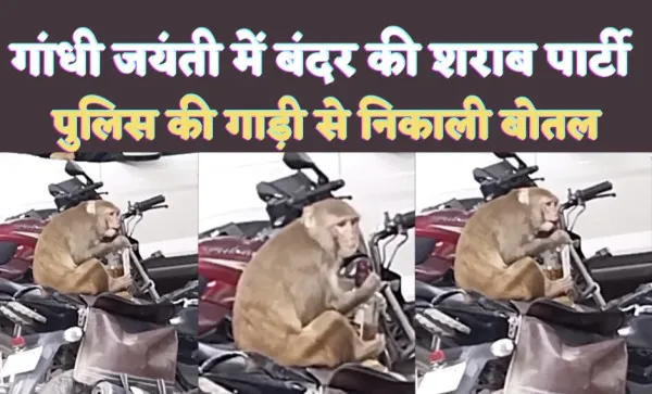 Kanpur Monkey News: ड्राई डे के दिन कौन लेकर घूम रहा है शराब ! इस बेजुबान बंदर ने पुलिस ऑफिस में खोला राज, देखें वीडियो