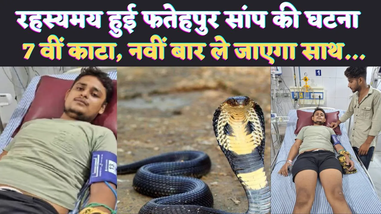 Fatehpur Snake News In Hindi: नौ बार तुम्हें काटूंगा 8 बार तू बच जाएगा ! कोई नहीं बचा पाएगा तुझे, जानिए फतेहपुर की रहस्यमय घटना