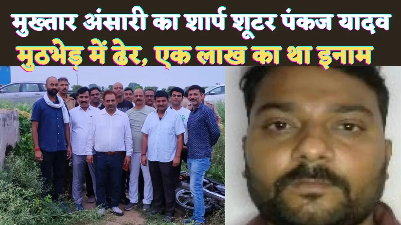 UP STF Encounter: मुख्तार अंसारी का शार्प शूटर Pankaj Yadav मुठभेड़ में ढेर ! एक लाख का था इनाम