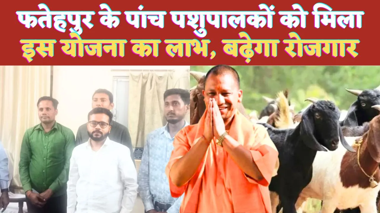 UP Fatehpur News: यूपी के फतेहपुर में बकरी पालन योजना के लिए पांच को स्वीकृति ! 2.6 करोड़ से बढ़ेंगे रोजगार के अवसर