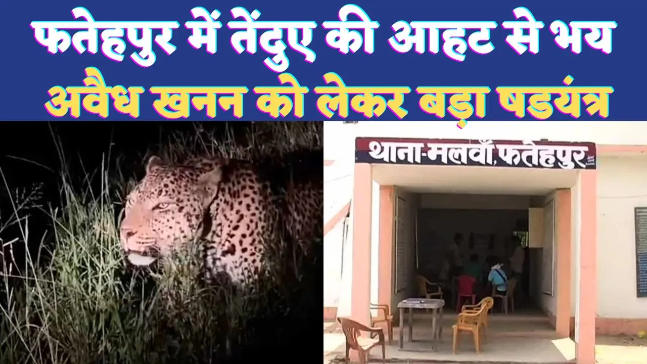 UP News: यूपी के फतेहपुर में तेंदुए की आहट से गर्म हुआ सोशल मीडिया ! अवैध खनन से जुड़ा है मामला