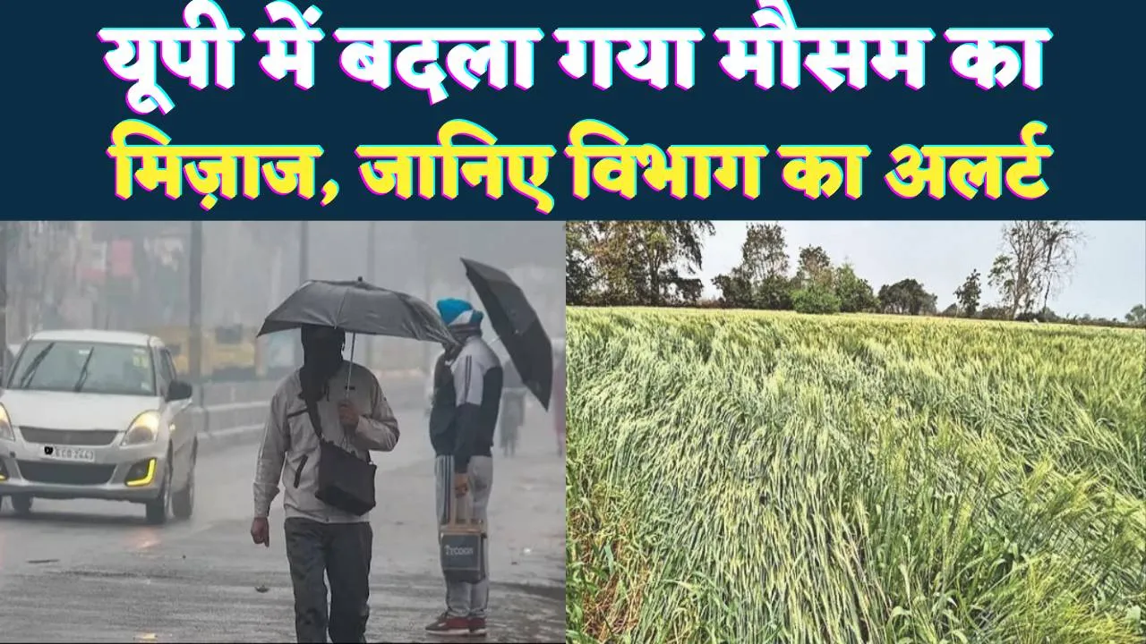 UP Mausam News: यूपी में फिर बदला मौसम ! तूफान और बारिश का अलर्ट, क्या फसलों को होगा नुकसान?