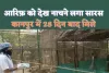 Arif Meet Saras Kanpur Zoo : कानपुर में 28 दिन बाद आरिफ को देख खुशी से उछल पड़ा सारस