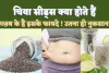 Chia Seeds In Hindi: चिया सीड्स को हिंदी में क्या कहते हैं? जानिए इसे किसे खाना चाहिए ! क्या होता इससे नुकसान