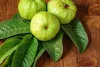 Health Benefits Of Guava: अमरूद और इसकी पत्तियों के सेवन के अनेक लाभ, जानिए Amrood के क्या हैं फायदे