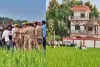 Deoria Fatehpur Murder News: देवरिया के फतेहपुर गांव में फिर माहौल बिगाड़ने का प्रयास ! गांव में एक माह के लिए धारा 144 लागू