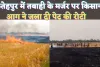 Fatehpur Fire News: तबाही के मंज़र पर फतेहपुर के किसान ! प्रशासनिक अव्यवस्थाओं ने छीन ली पेट की रोटी