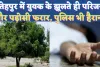 UP Fatehpur News: यूपी के फतेहपुर में युवक के फंदे में झूलते ही परिजन और पड़ोसी फरार ! पुलिस भी हुई हैरान