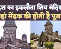 Lakhimpur Kheri Frog Temple: देश के इस इकलौते मन्दिर में मेंढक की होती है पूजा ! पीठ पर विराजमान है शिवजी, जानिए पौराणिक महत्व