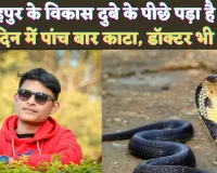 Fatehpur Snake Attack News: फतेहपुर के विकास दुबे के पीछे पड़ा है ये सांप ! एक महीने में पांच बार काटा, घर के बाहर भी करता है पीछा
