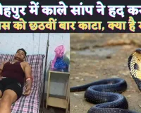 Fatehpur News: फतेहपुर में नहीं बंद हो रहा सांप के डसने का सिलसिला ! छठवीं बार काटा, कहीं तंत्र के वशीकरण में तो नहीं कोबरा