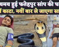 Fatehpur Snake News In Hindi: नौ बार तुम्हें काटूंगा 8 बार तू बच जाएगा ! कोई नहीं बचा पाएगा तुझे, जानिए फतेहपुर की रहस्यमय घटना