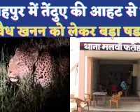 UP News: यूपी के फतेहपुर में तेंदुए की आहट से गर्म हुआ सोशल मीडिया ! अवैध खनन से जुड़ा है मामला