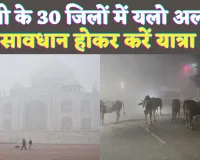 UP Mausam News: यूपी में मौसम ने ली करवट ! इन जिलों में घना कोहरा, यलो अलर्ट जारी