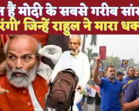 Who Is Pratap Sarangi: कौन हैं प्रताप सारंगी? संसद भवन में Rahul Gandhi पर धक्का देने का आरोप