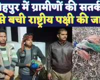 Fatehpur News: फतेहपुर में ग्रामवासियों ने दिखाई प्रकृति के प्रति जागरूकता ! सतर्कता से बची घायल राष्ट्रीय पक्षी की जान