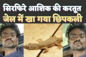 Kanpur Crime : अजीबोगरीब मामला ! सिरफिरा आशिक लॉकअप में निगल गया छिपकली