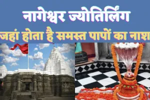 Nageshwar Jyotirling Temple : नागेश्वर ज्योतिर्लिंग के दर्शन मात्र से ही समस्त पापों का हो जाता है अंत, जानिए पौराणिक महत्व