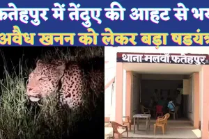 UP News: यूपी के फतेहपुर में तेंदुए की आहट से गर्म हुआ सोशल मीडिया ! अवैध खनन से जुड़ा है मामला