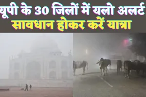 UP Mausam News: यूपी में मौसम ने ली करवट ! इन जिलों में घना कोहरा, यलो अलर्ट जारी