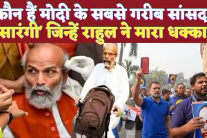 Who Is Pratap Sarangi: कौन हैं प्रताप सारंगी? संसद भवन में Rahul Gandhi पर धक्का देने का आरोप