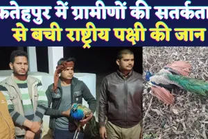 Fatehpur News: फतेहपुर में ग्रामवासियों ने दिखाई प्रकृति के प्रति जागरूकता ! सतर्कता से बची घायल राष्ट्रीय पक्षी की जान