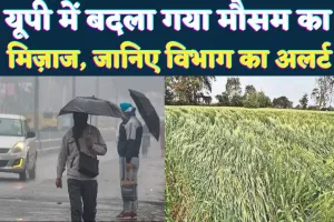 UP Mausam News: यूपी में फिर बदला मौसम ! तूफान और बारिश का अलर्ट, क्या फसलों को होगा नुकसान?